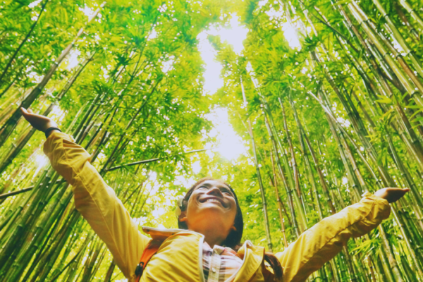 A Guide to Eco-Friendly Hikes: Enjoy Nature Responsibly and Sustainably