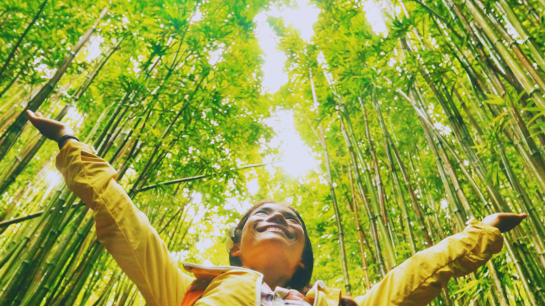 A Guide to Eco-Friendly Hikes: Enjoy Nature Responsibly and Sustainably