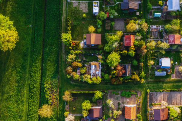 Beginner’s Guide to Urban Gardening: Essential Tips for Successful City Growing