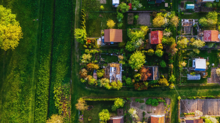Beginner’s Guide to Urban Gardening: Essential Tips for Successful City Growing