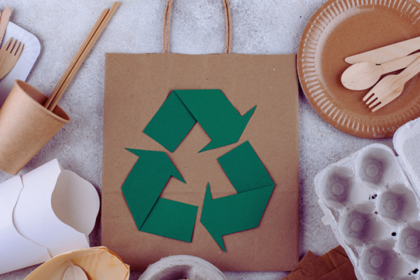 DIY Home Projects for a Sustainable Lifestyle: Simple Ideas to Enhance Your Eco-Friendly Living