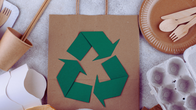 DIY Home Projects for a Sustainable Lifestyle: Simple Ideas to Enhance Your Eco-Friendly Living