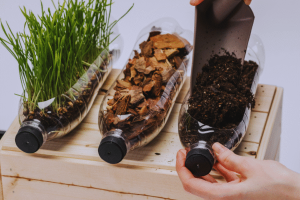 Teaching Kids About Sustainability with Fun Activities: Engaging Ways to Foster Environmental Awareness