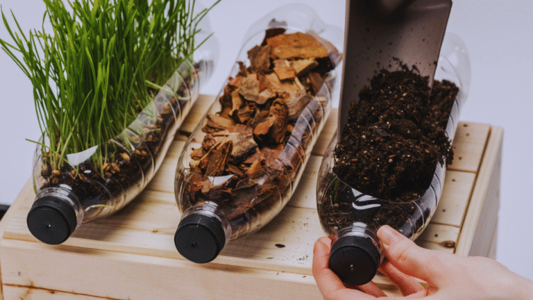 Teaching Kids About Sustainability with Fun Activities: Engaging Ways to Foster Environmental Awareness