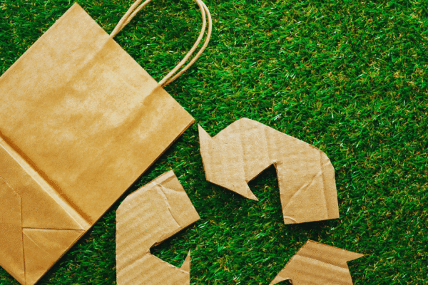 The Benefits of Living an Eco-Conscious Life: Enhance Well-being and Protect the Planet