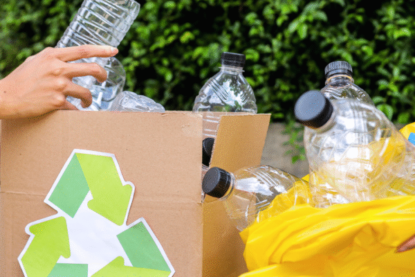 Beginner’s Guide to Eco-Friendly Home Cleaning: Essential Tips for a Healthier Living Space