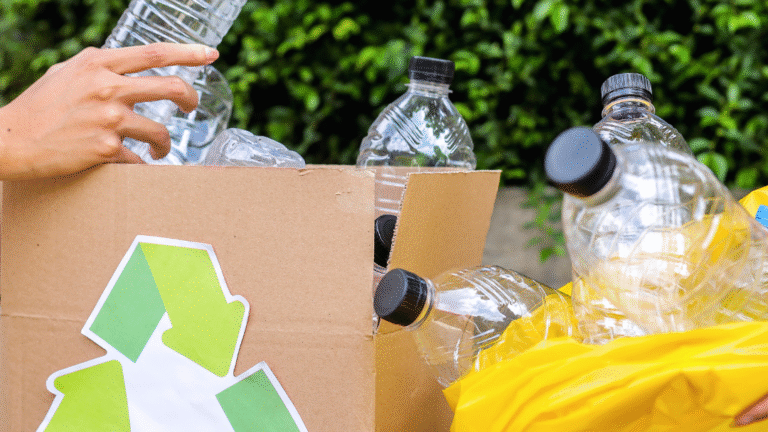 Beginner’s Guide to Eco-Friendly Home Cleaning: Essential Tips for a Healthier Living Space