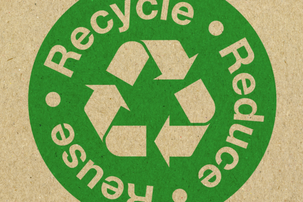 How to Choose Sustainable Materials for Home Décor: A Practical Guide for Eco-Friendly Living