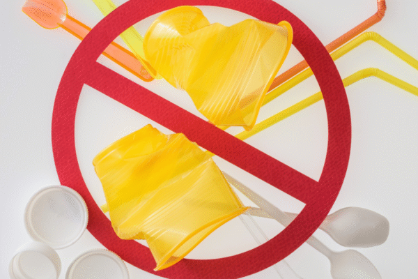 The Impact of Single-Use Plastics and How to Avoid Them for a Sustainable Future