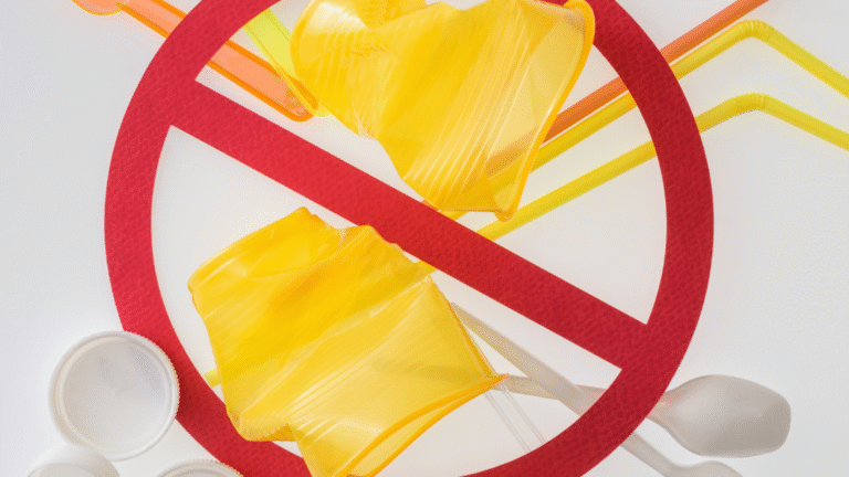 The Impact of Single-Use Plastics and How to Avoid Them for a Sustainable Future