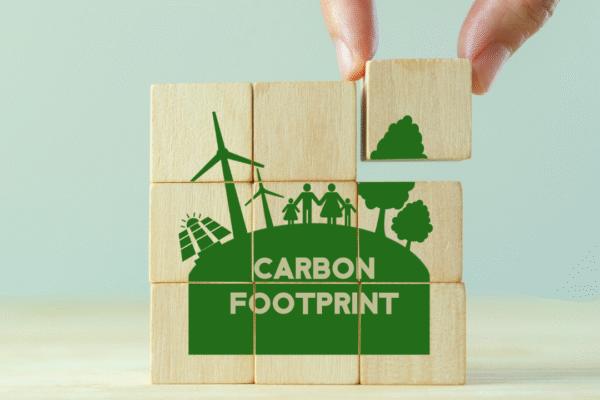 Tips for Reducing Your Carbon Footprint at Home with Practical Energy-Saving Strategies
