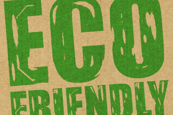 What Makes a Product Truly Eco-Friendly: Understanding Sustainable Materials and Practices